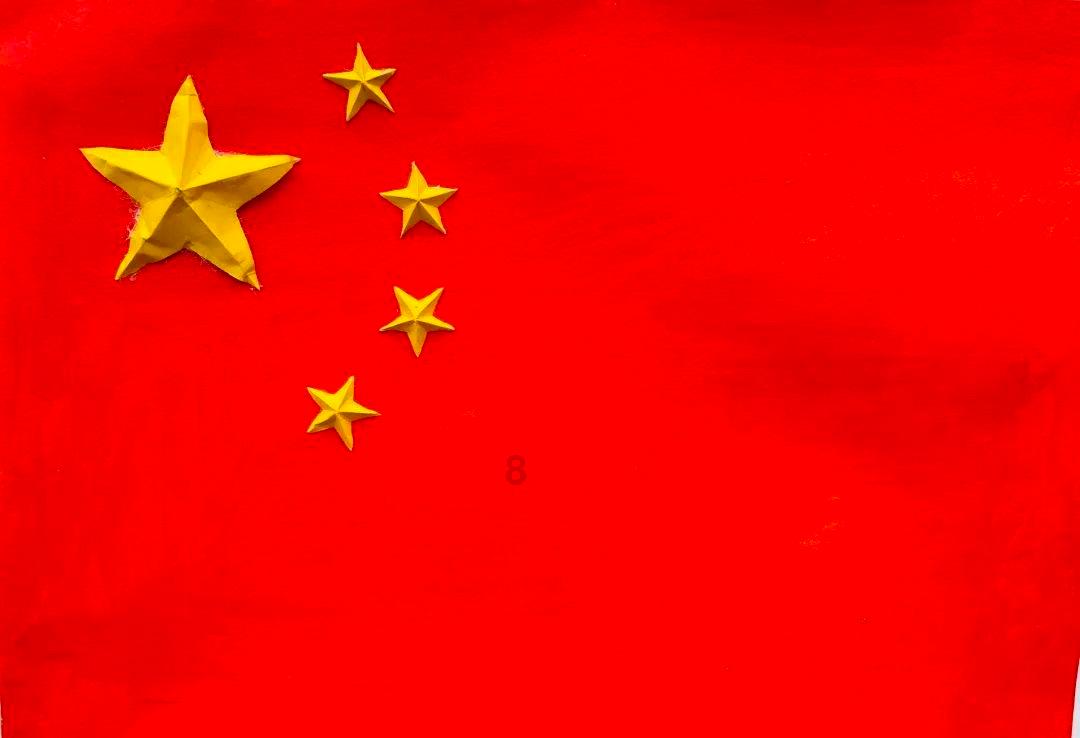奥利维亚收养猫